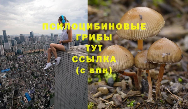 экстази Алексеевка