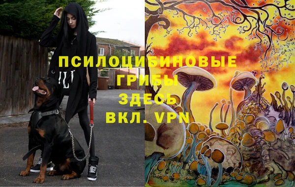 гашиш Алексин