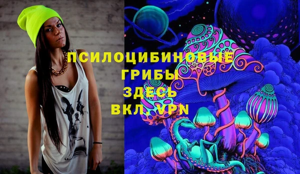 гидропоника Алзамай