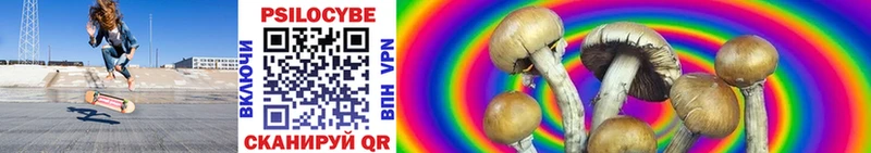 где купить наркоту  Ардон  мега ONION  Галлюциногенные грибы MAGIC MUSHROOMS 
